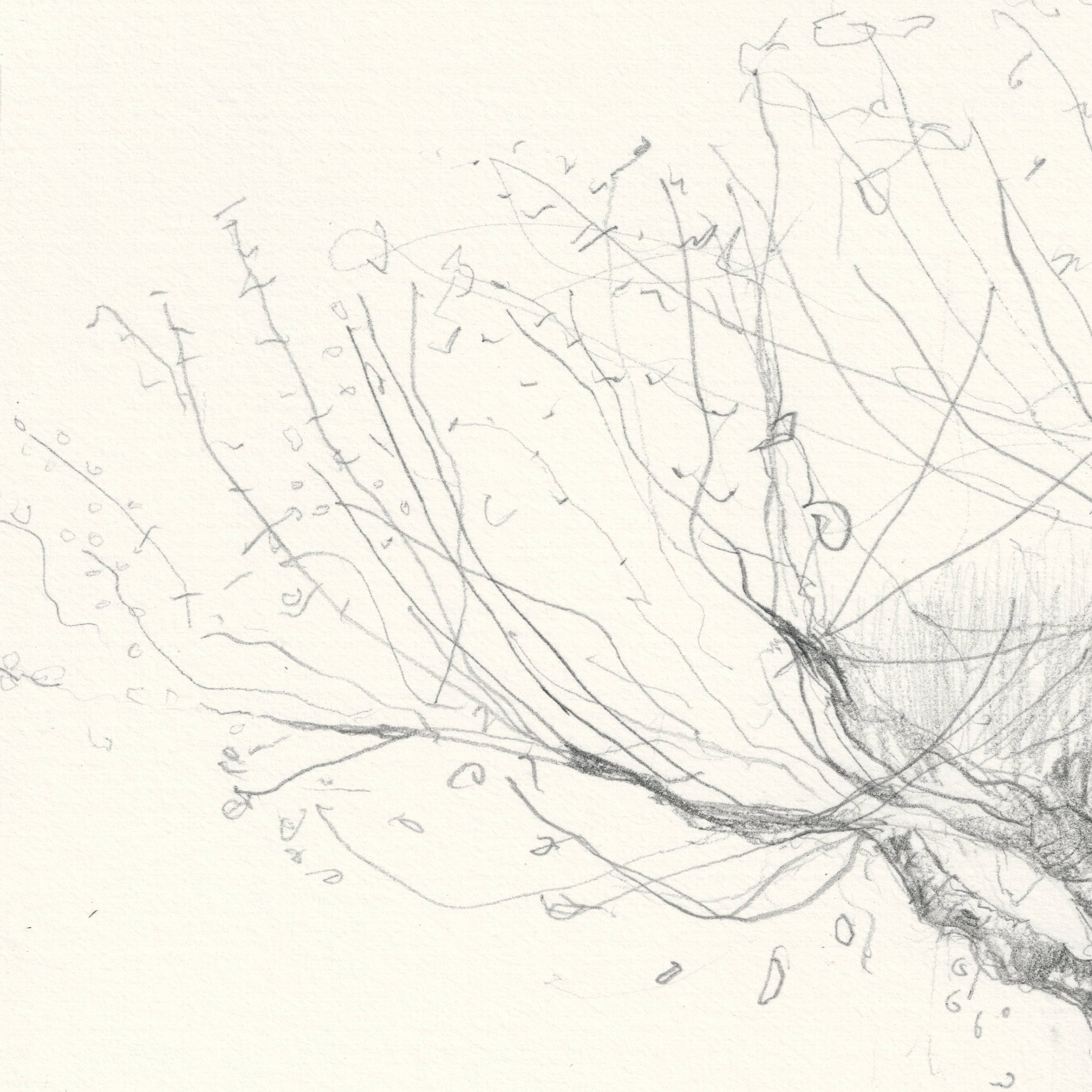 Carole-Bury_Apple-Season_detail_6706.jpg