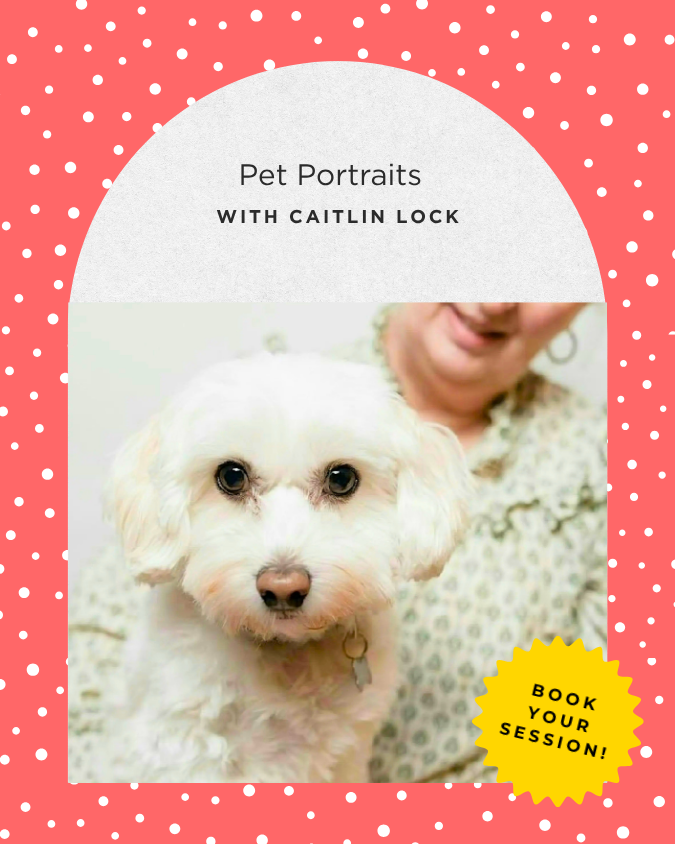 Pet Portaits