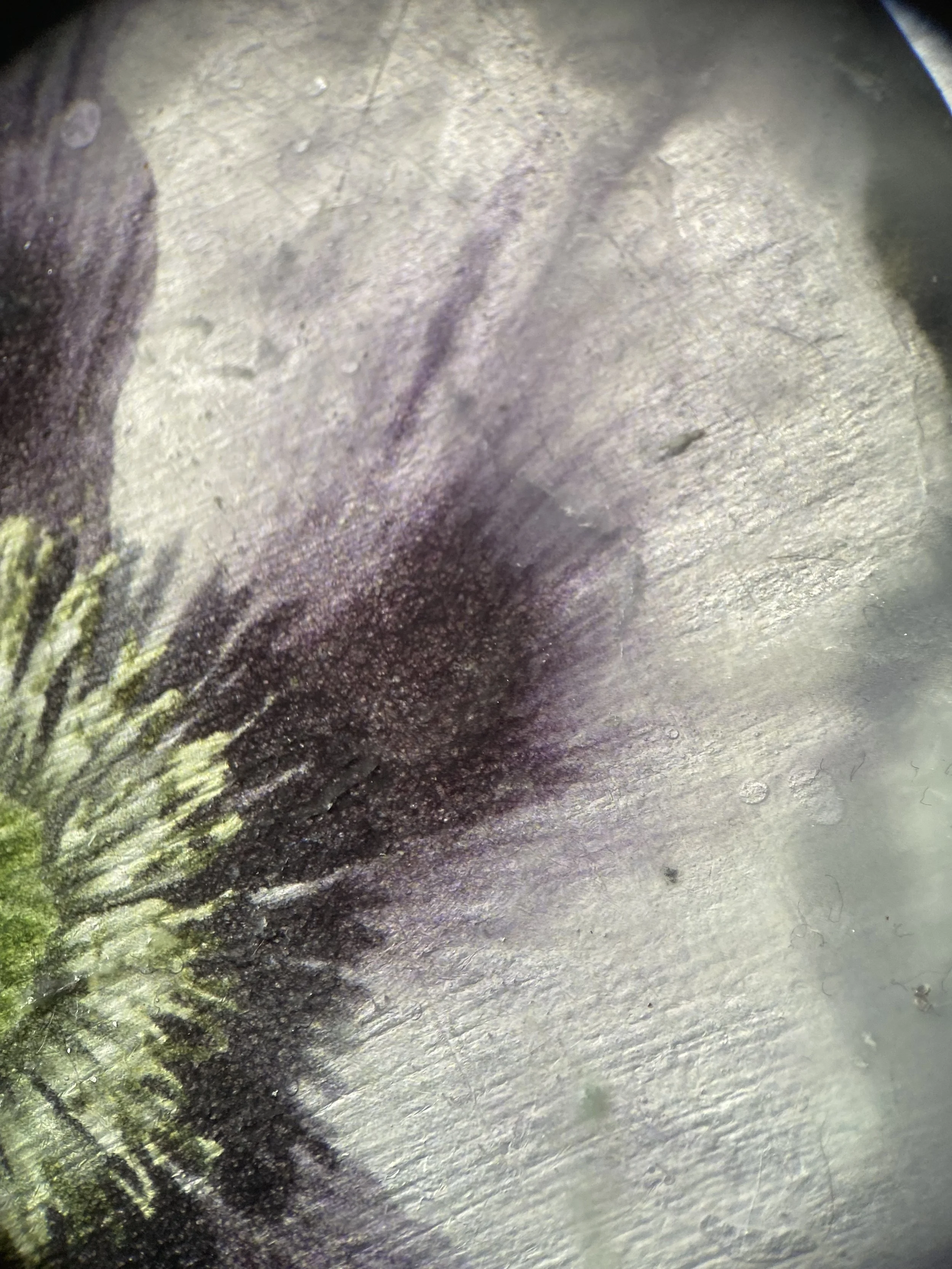 Kristina Alexander, Garden Jewels: Poppy I detail