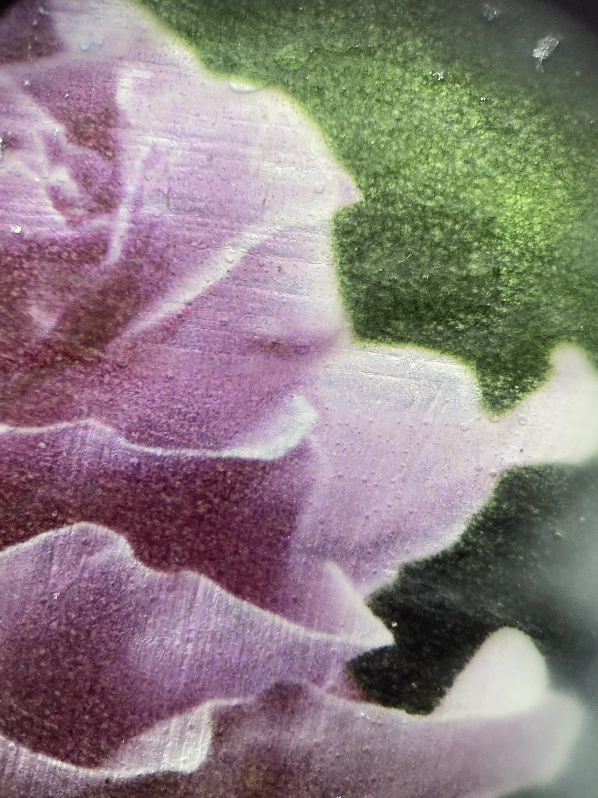 Kristina Alexander, Garden Jewels: Rose I detail