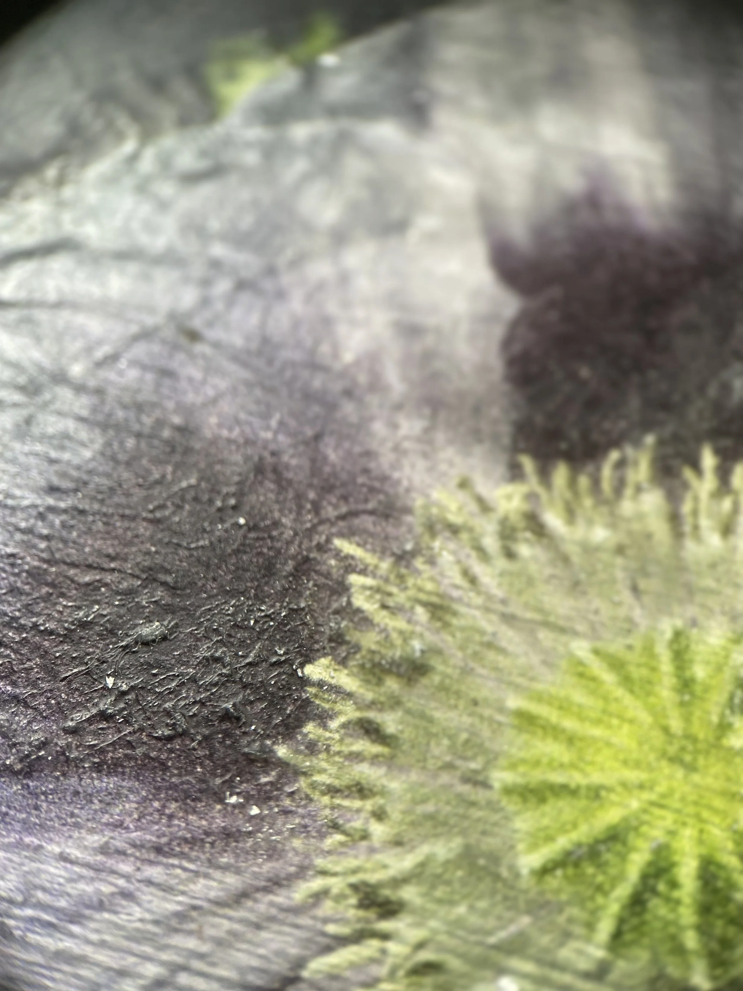 Kristina Alexander, Garden Jewels: Poppy I detail
