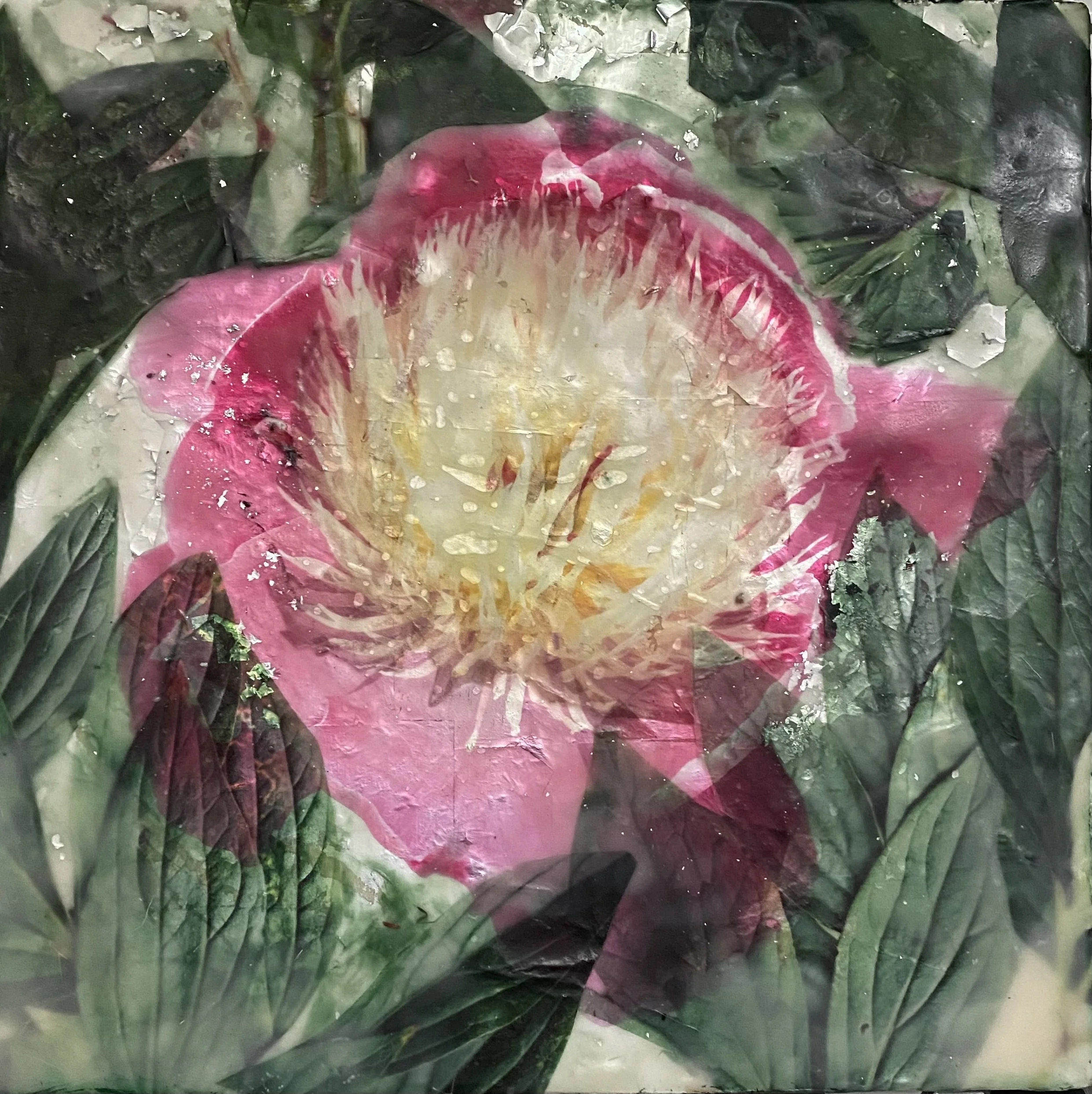 Kristina Alexander, Peony on Silver