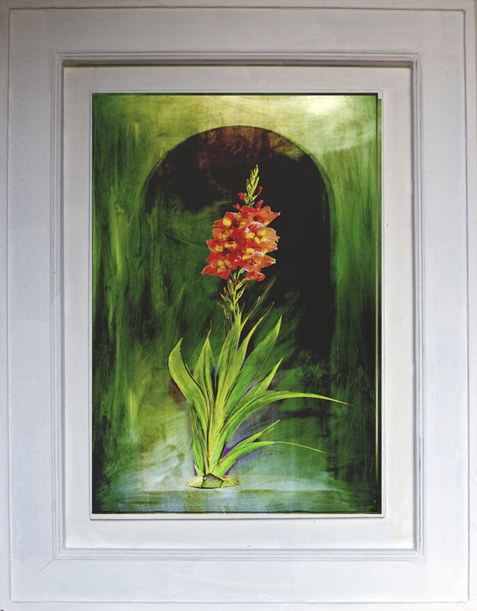 Shelley Rose_Gladiolii_Framed 70x54cm.jpg