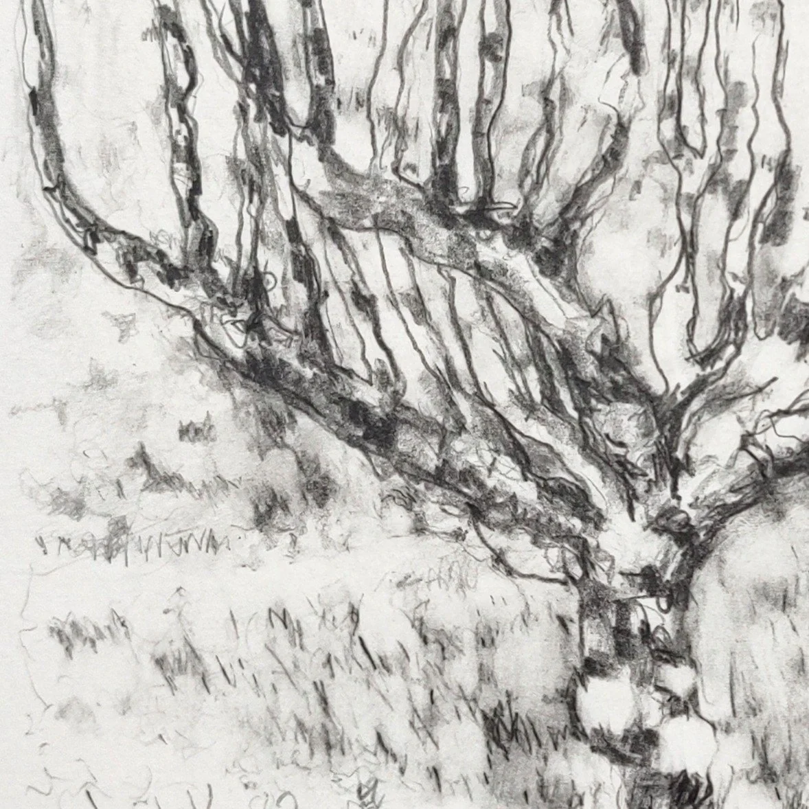 Carole-Bury_Resting_detail_9496.jpg