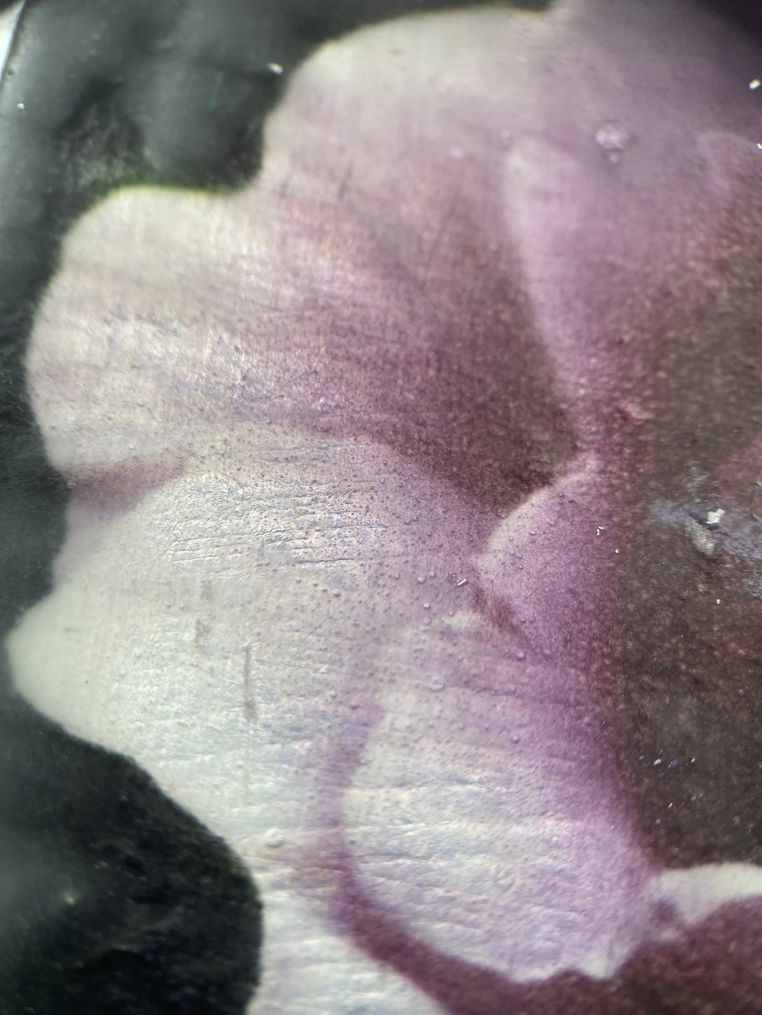Kristina Alexander, Garden Jewels: Rose I detail