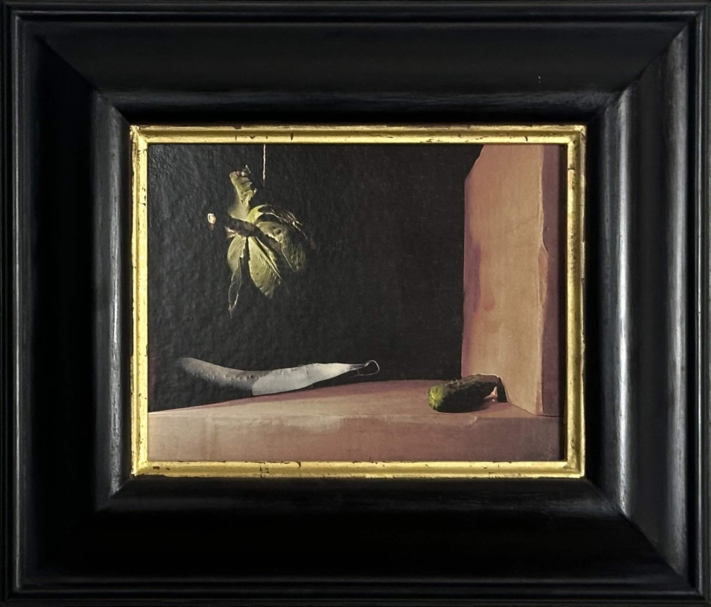 Shelley Rose, Out of the Shadows