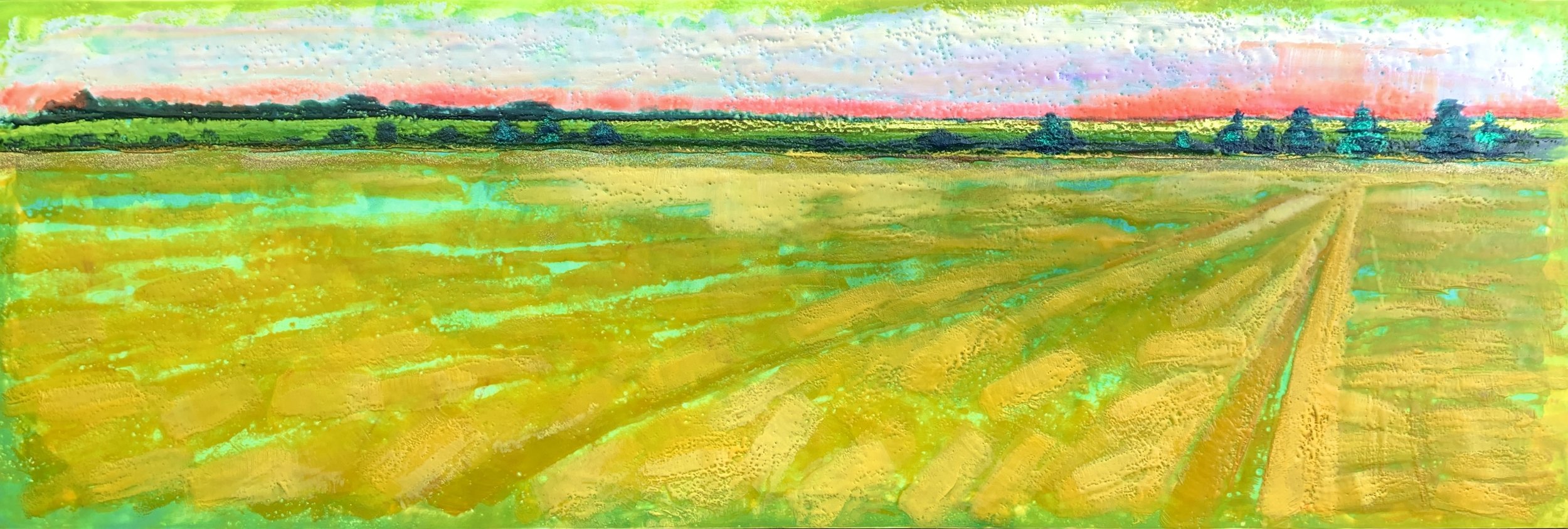 Sally Bramble, Light Across the Cornfields