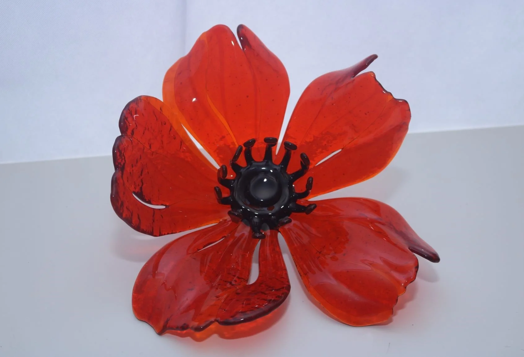 Charlie Noel, Poppy
