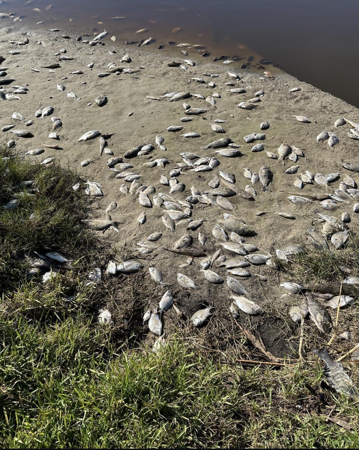 Can you give First Aid to a river?