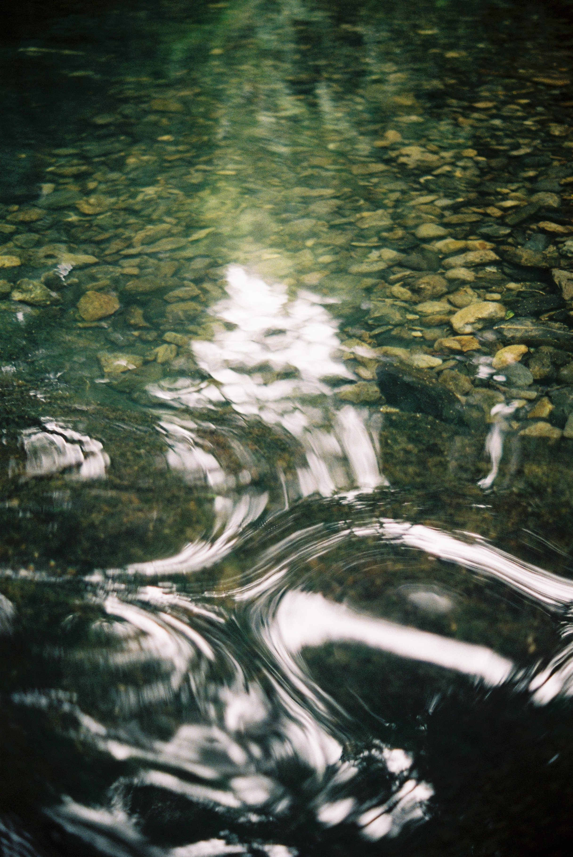 What would a river-centred food system look like?