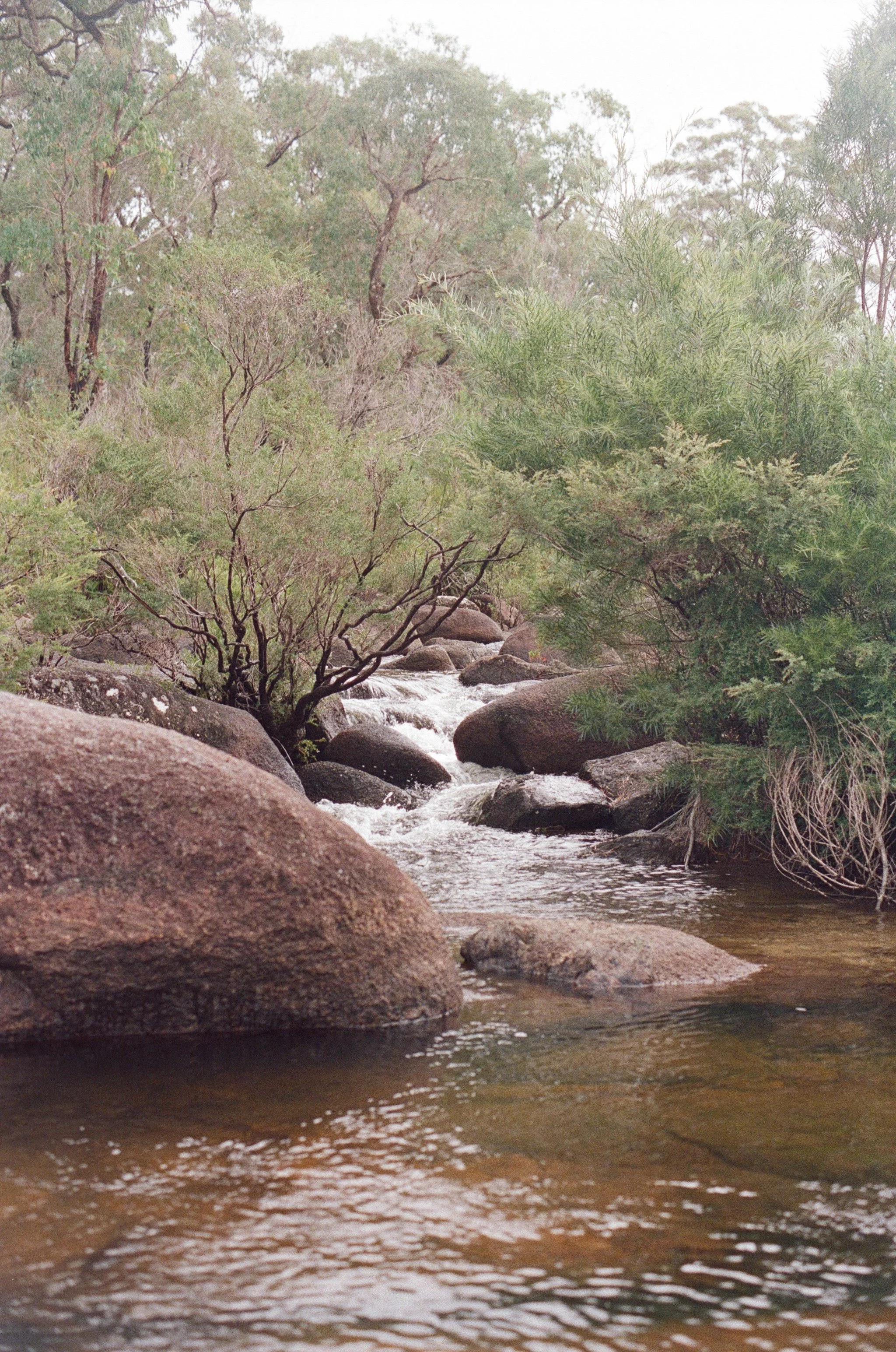 Every meal begins upstream