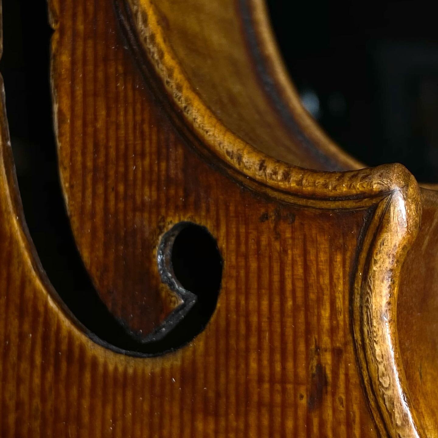 Whenever we look at C.G. Testore&rsquo;s instruments we lose ourselves in the peculiar aspects of its making.
With this instrument we tried our best to condense his craftsmanship in a violin with a unique personality, a deep sound and a care for each