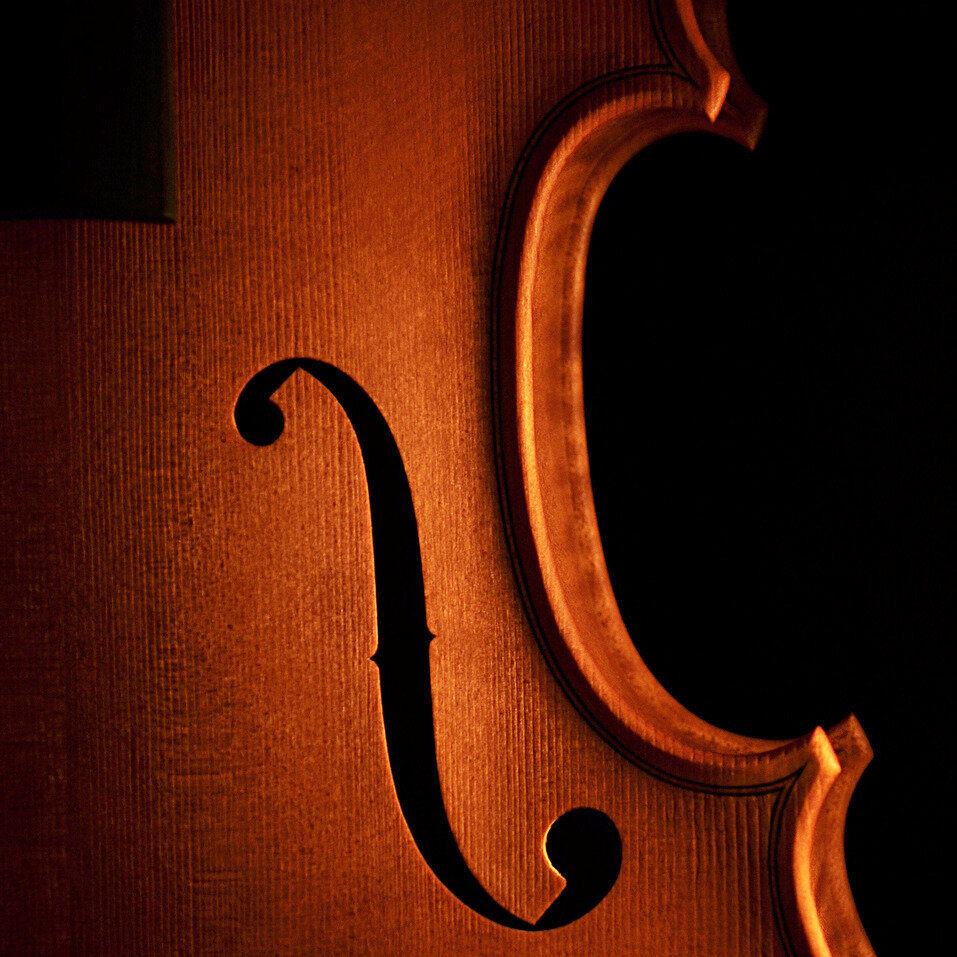 #viola F-hole #closeup. #violin #cello #violinmaking