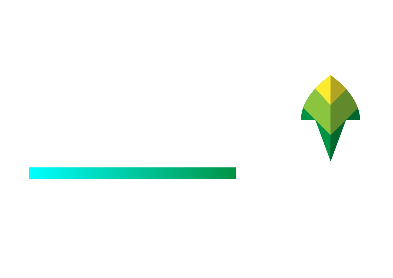 Evolve EV
