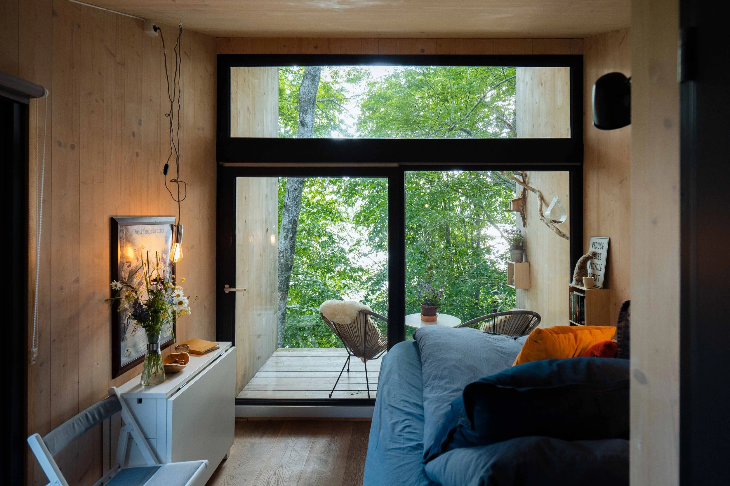 tretopphytten Yrnan PROFF SfHAi5lw.jpeg