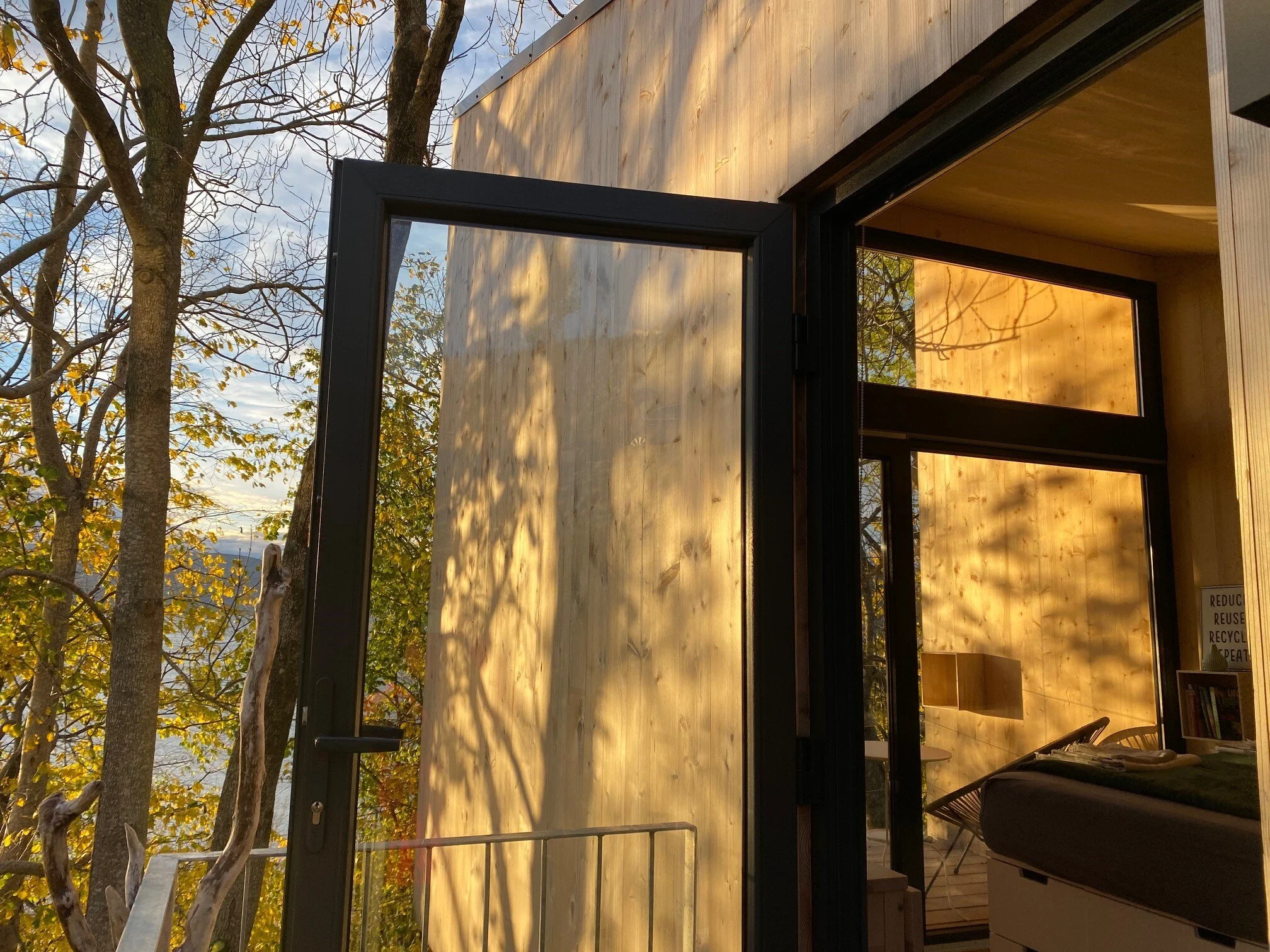 tretopp fra inngang.jpg