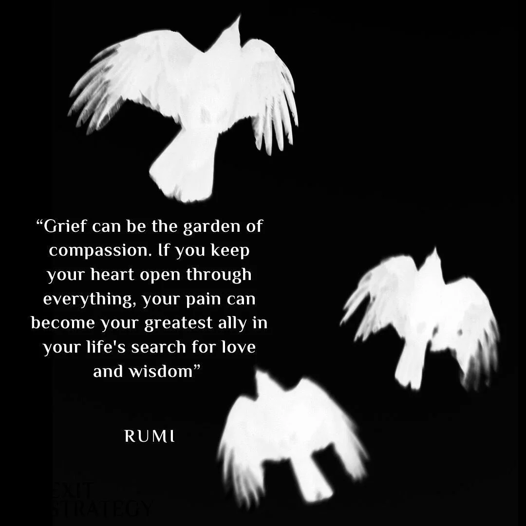 In a time of a deep collective grief, an offering. ❤️ 

photo by Karen Bellone