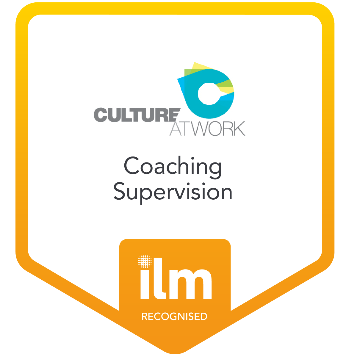 coaching-supervision-culture-at-work-ltd.png
