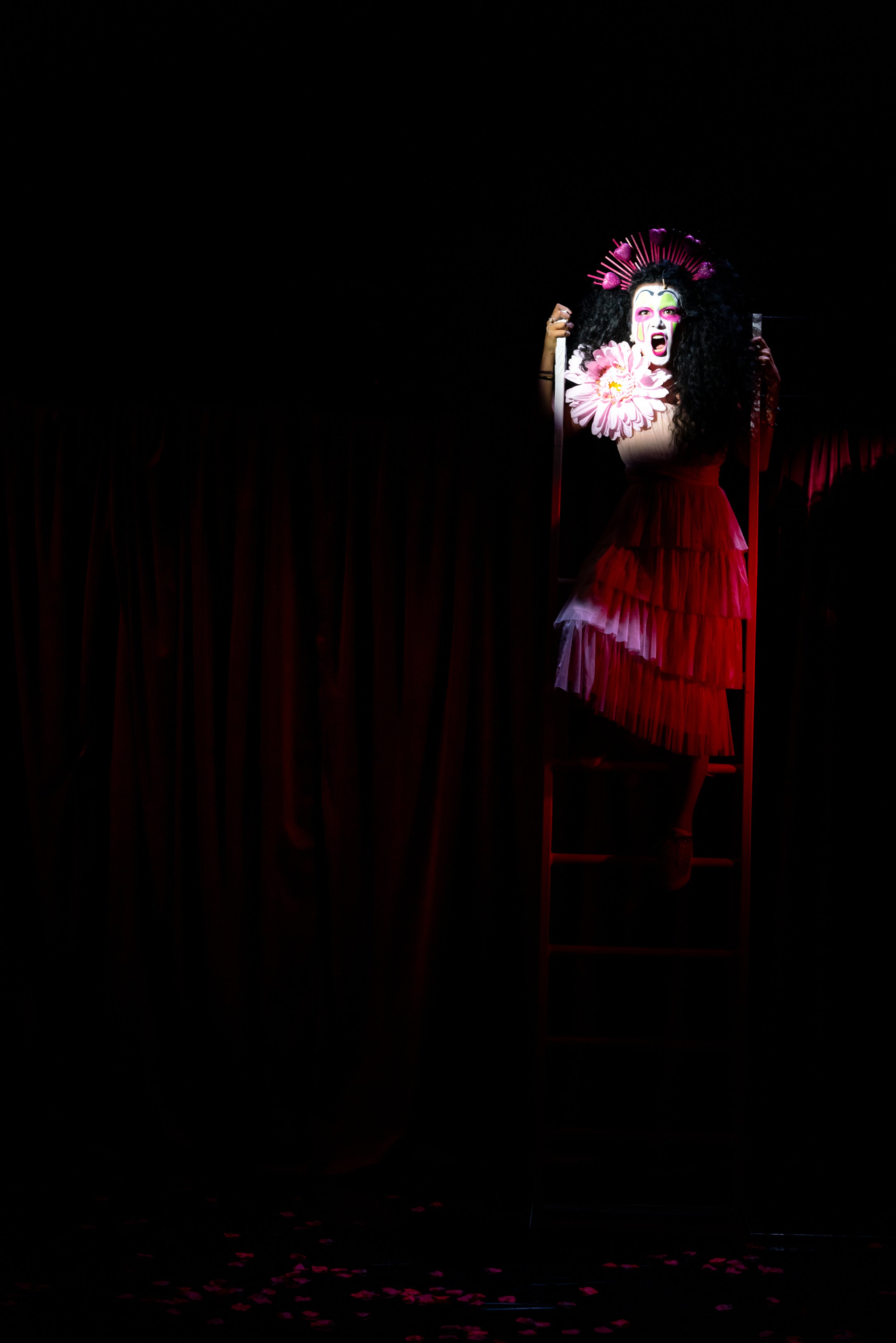 Follies CSSD-High Res-449.jpg