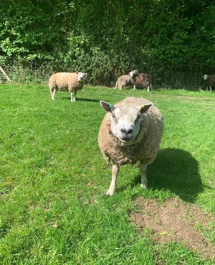 Phew!  Y&rsquo;all!  It&rsquo;s been a minute and half. And my goodness the world has not let up for one second.  Completing the Kickstarter was an incredible high, but doing it and travelling to the states with my crew took every last bit of my rese