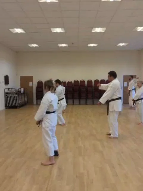 Training in Hangetsu and Sochin, two powerful kata that challenge both mind and body. Hangetsu develops breath, rhythm and control. Sochin calls for strength, stability and fierce spirit. Always learning, always evolving.

#Karate #Shotokan #KataTrai
