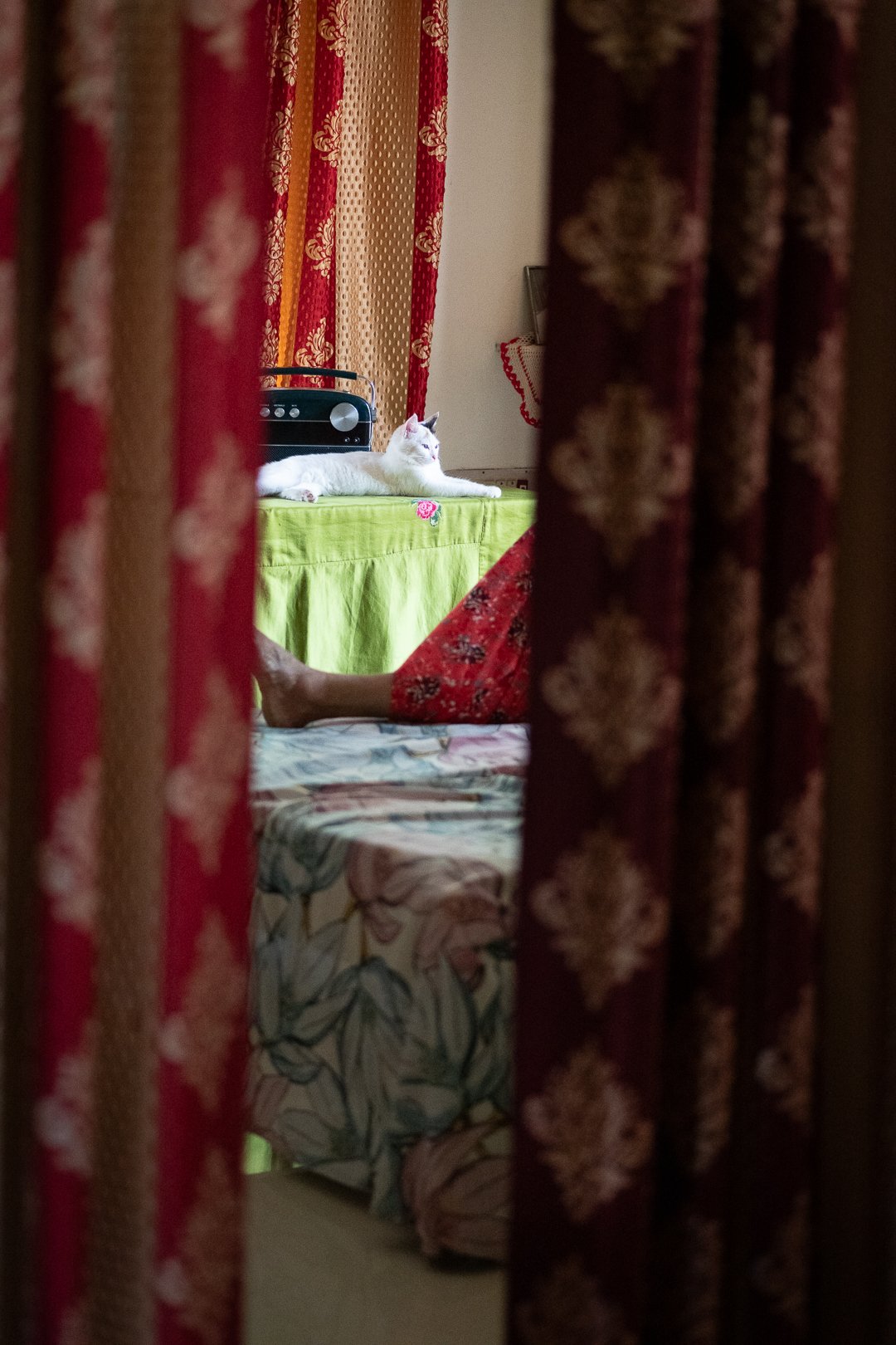 Kitty-240207-DSC_0551-IG-India-trip.jpg