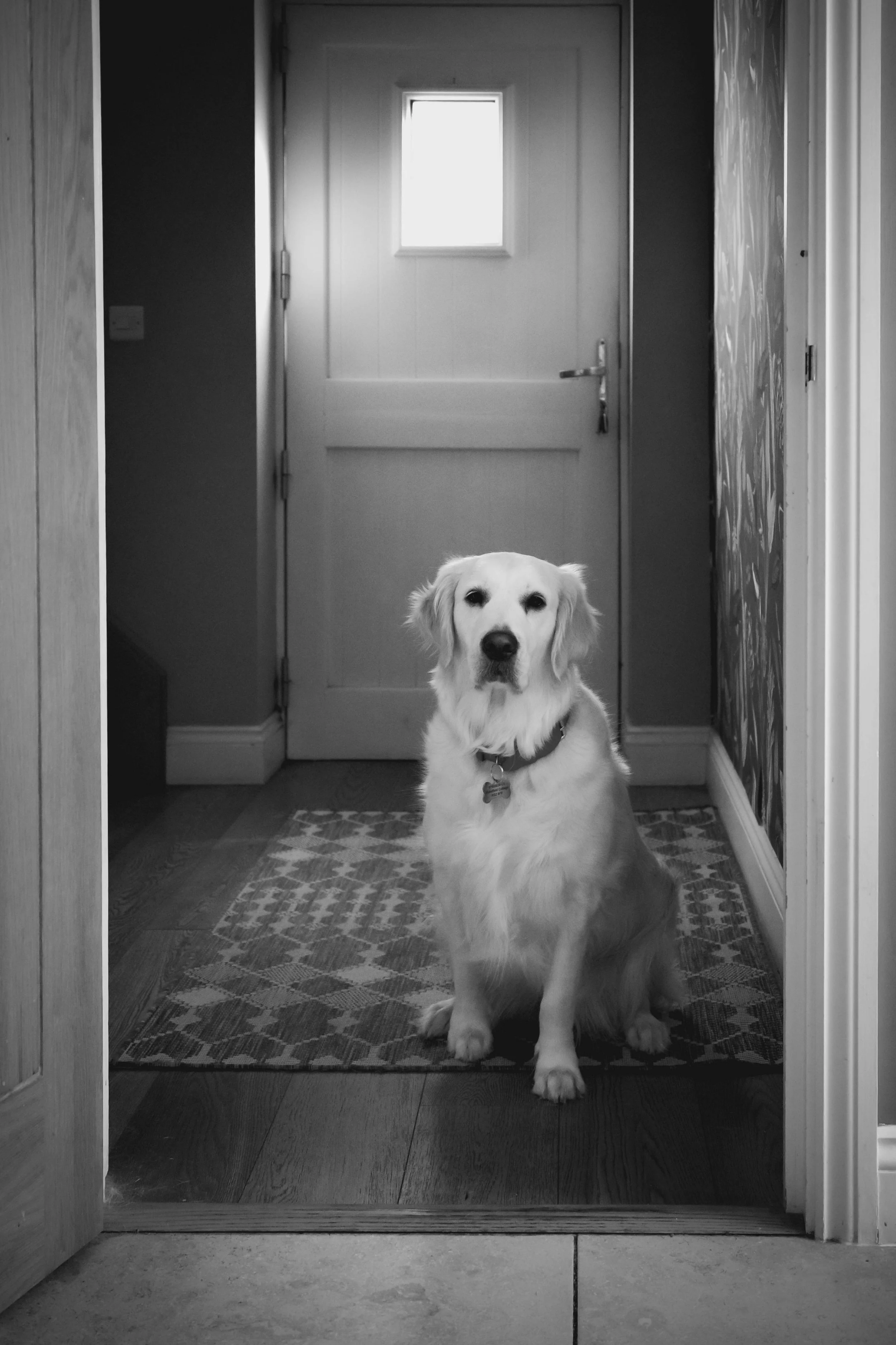 R0000161-Instagram Export 2.jpg