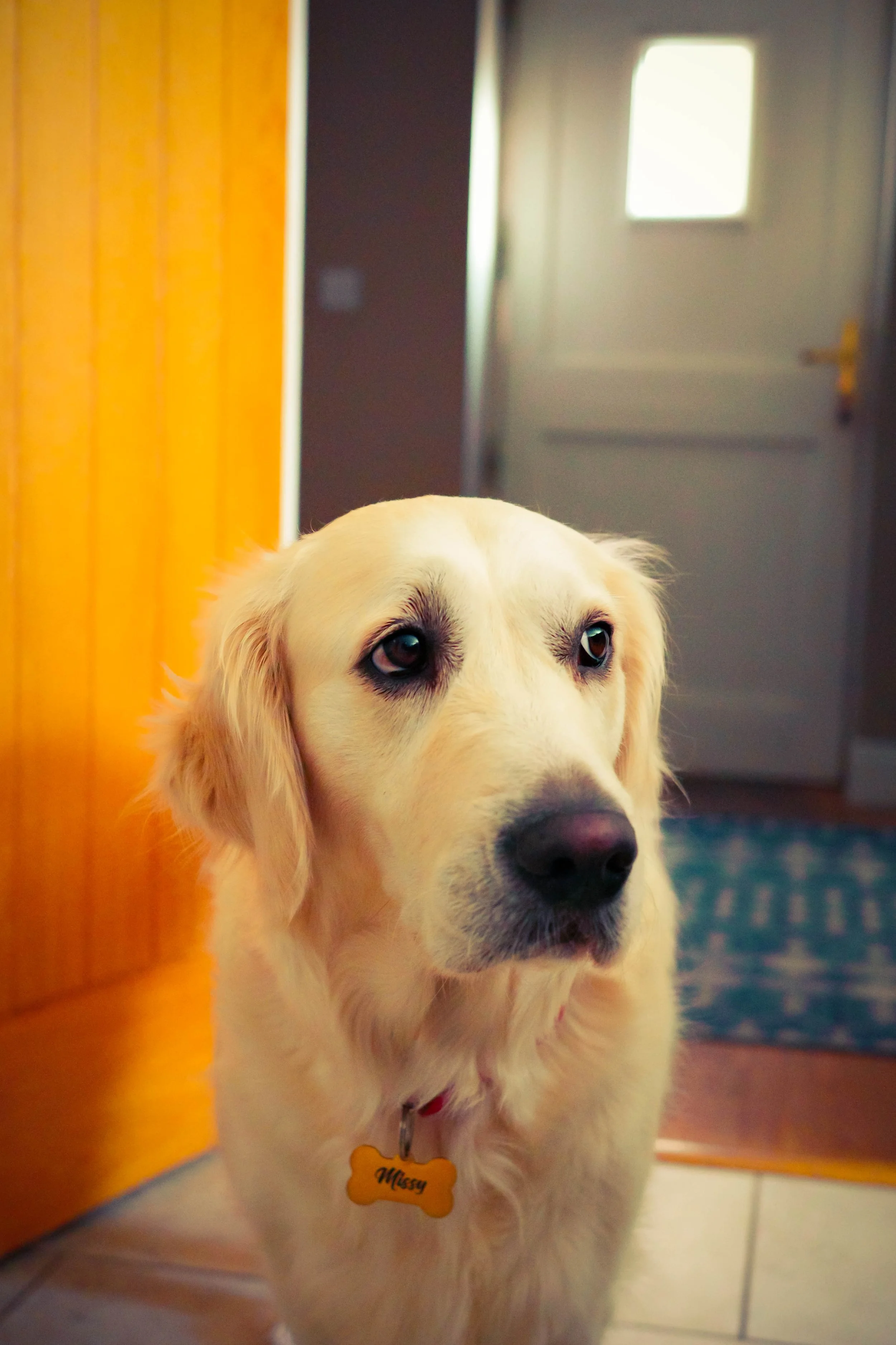 R0000160-Instagram Export.jpg