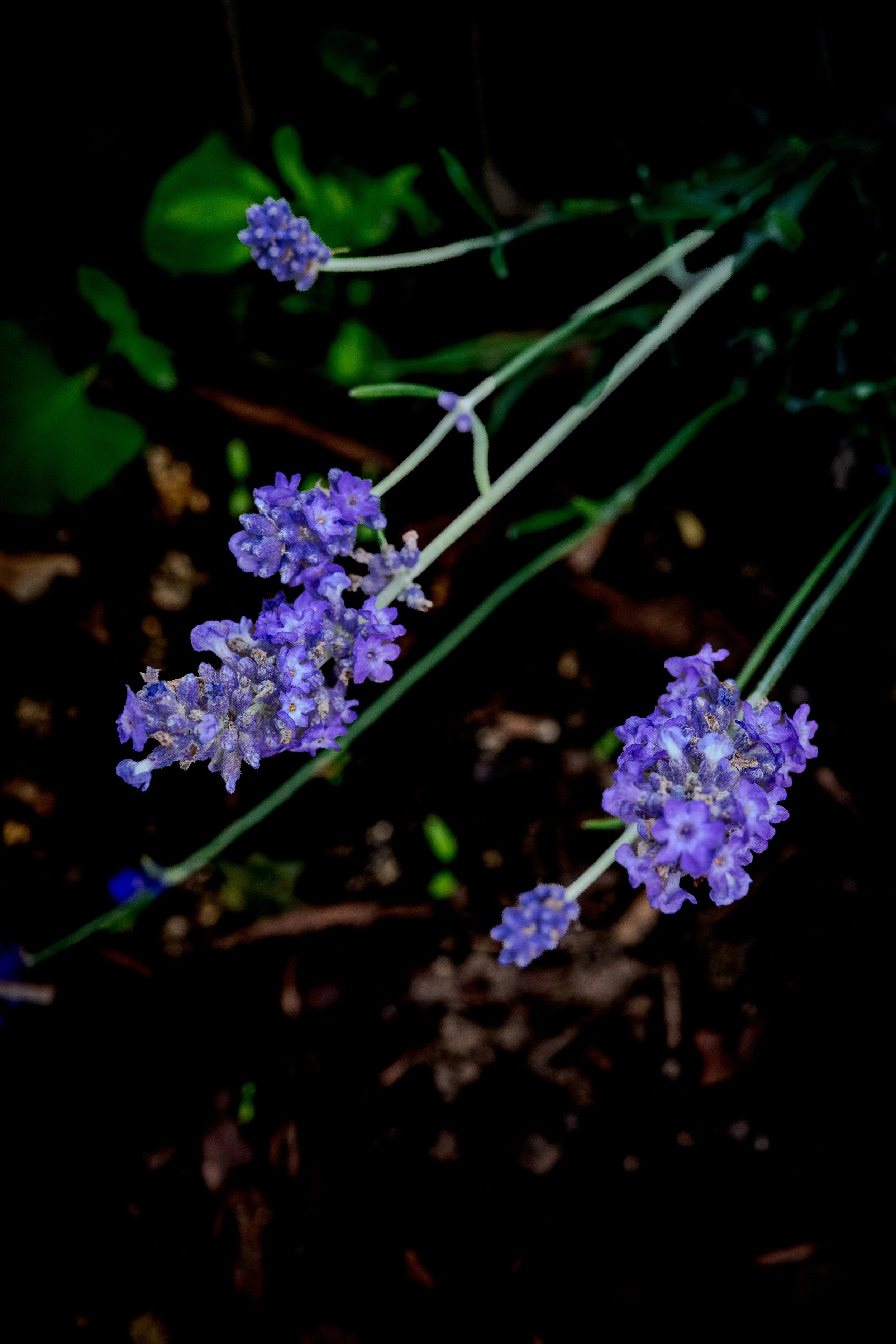 20261018-R0000981.jpg