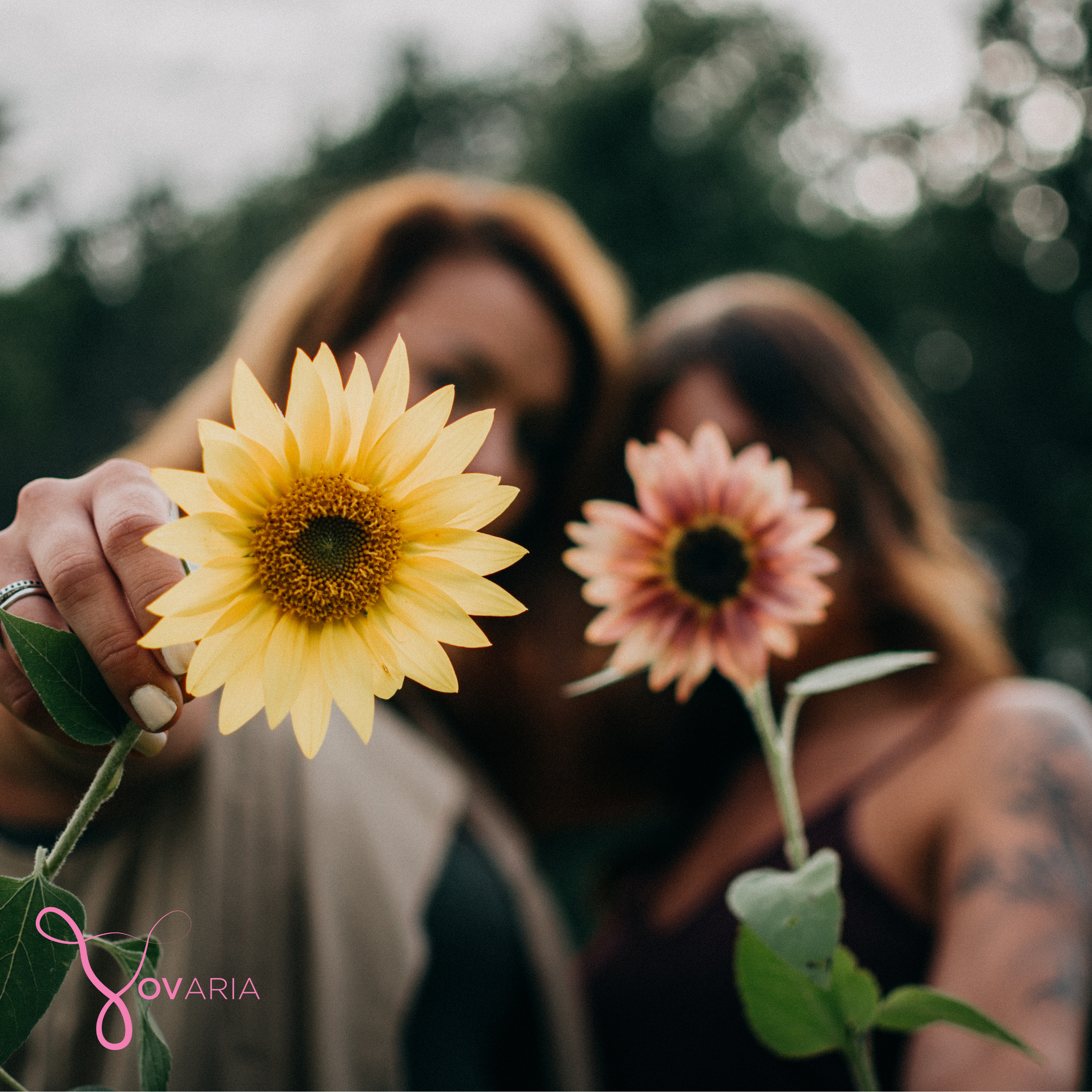 Lowering Inflammation in the PCOS Body