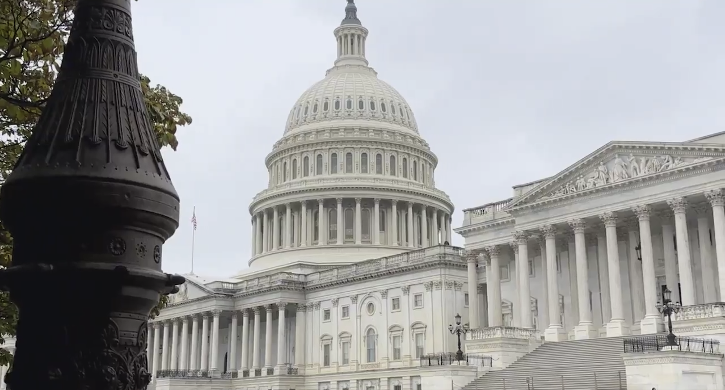 Standing Against Trump’s Attacks on Free Speech and Democracy