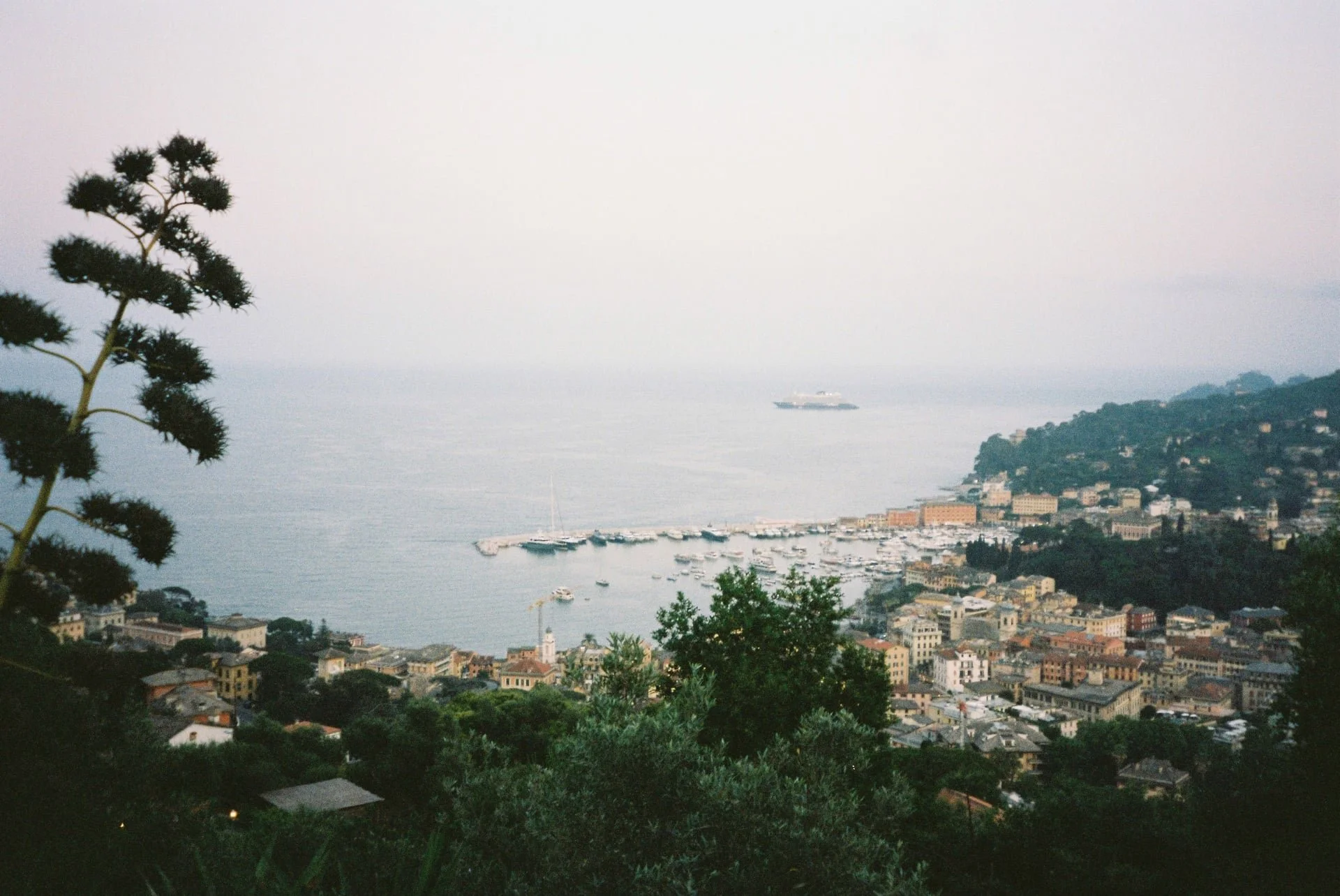 grain_and_co_analog_lab165.jpg