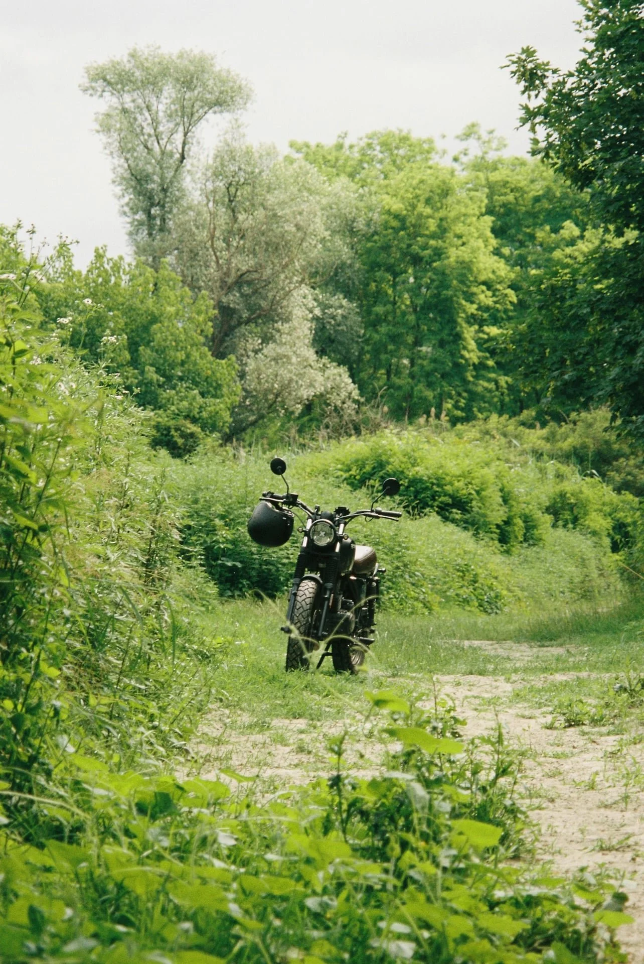 grain_and_co_analog_lab170.jpg
