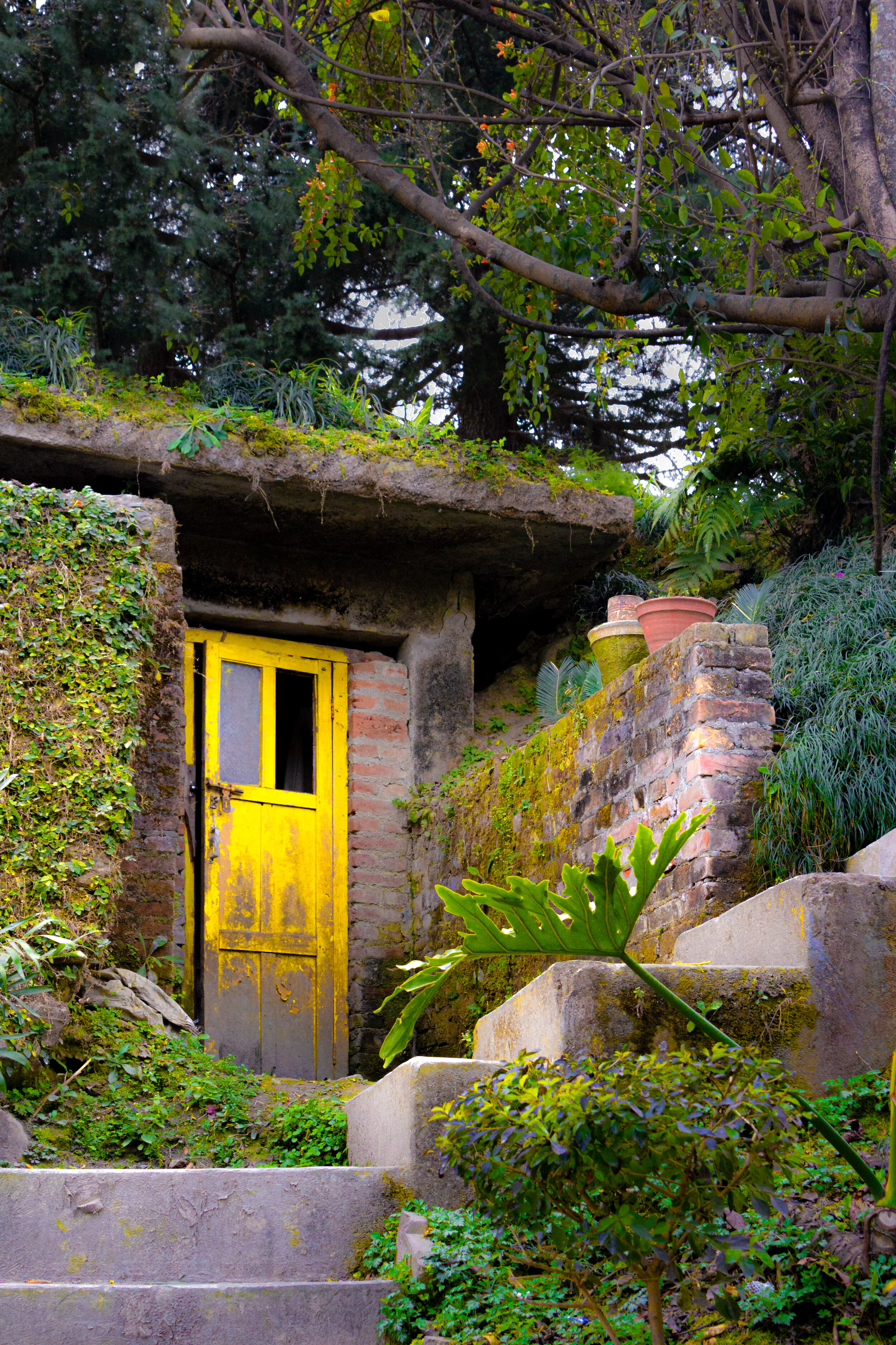 Nepal_IMG_2010-Edit.jpg