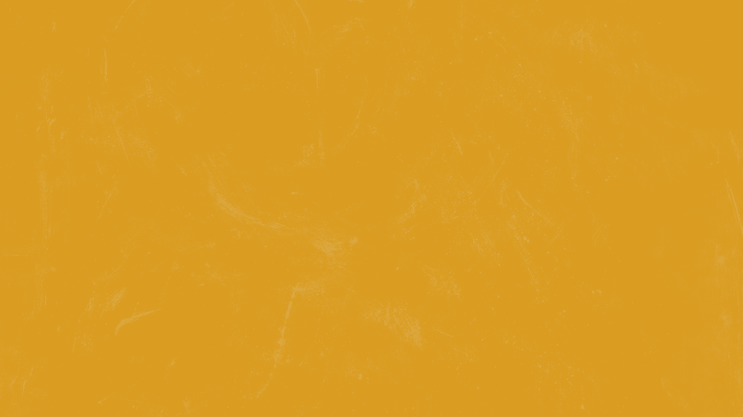 Website Desktop Banner Templates.png