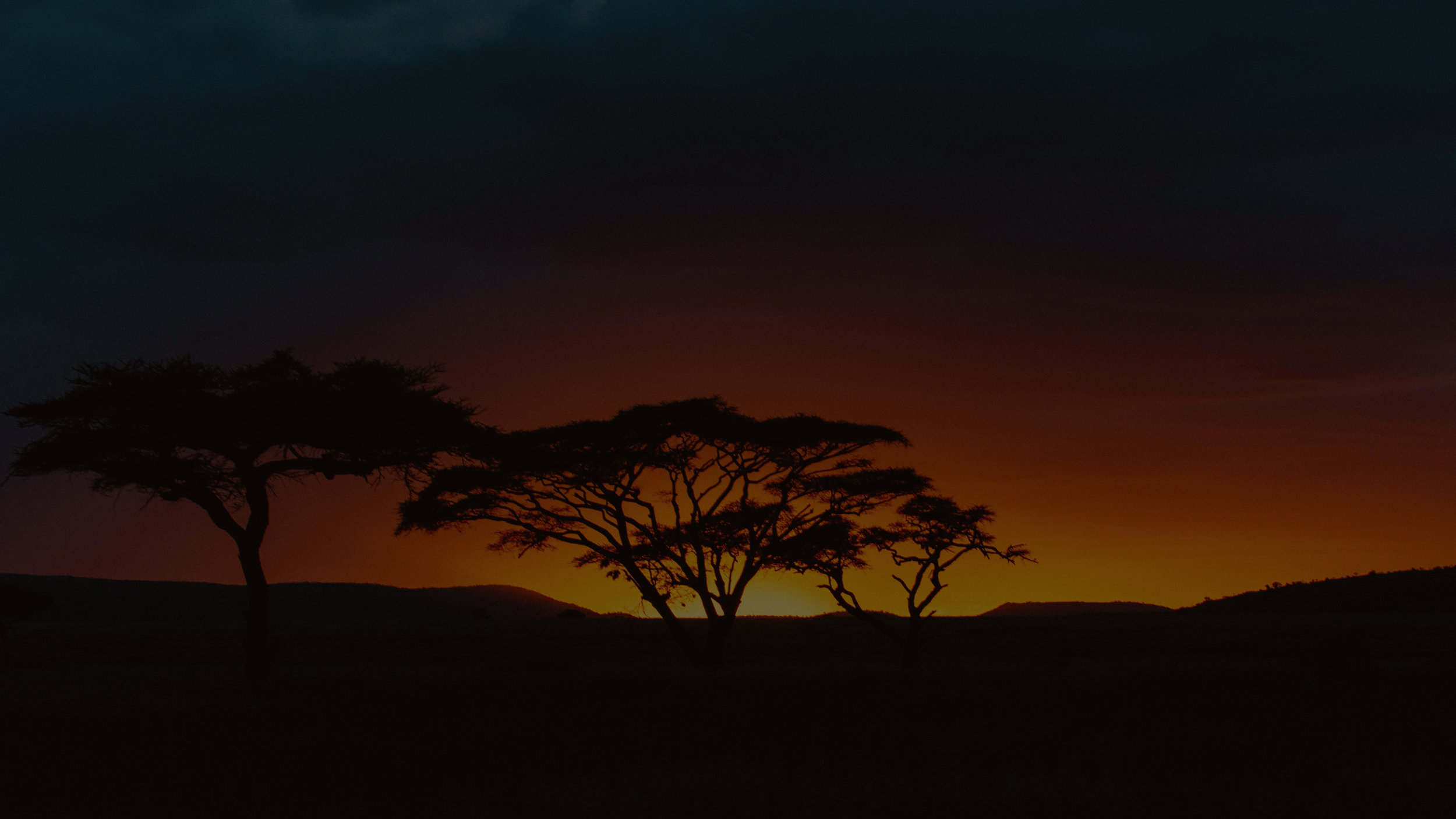 Website Desktop Banner Templates.png