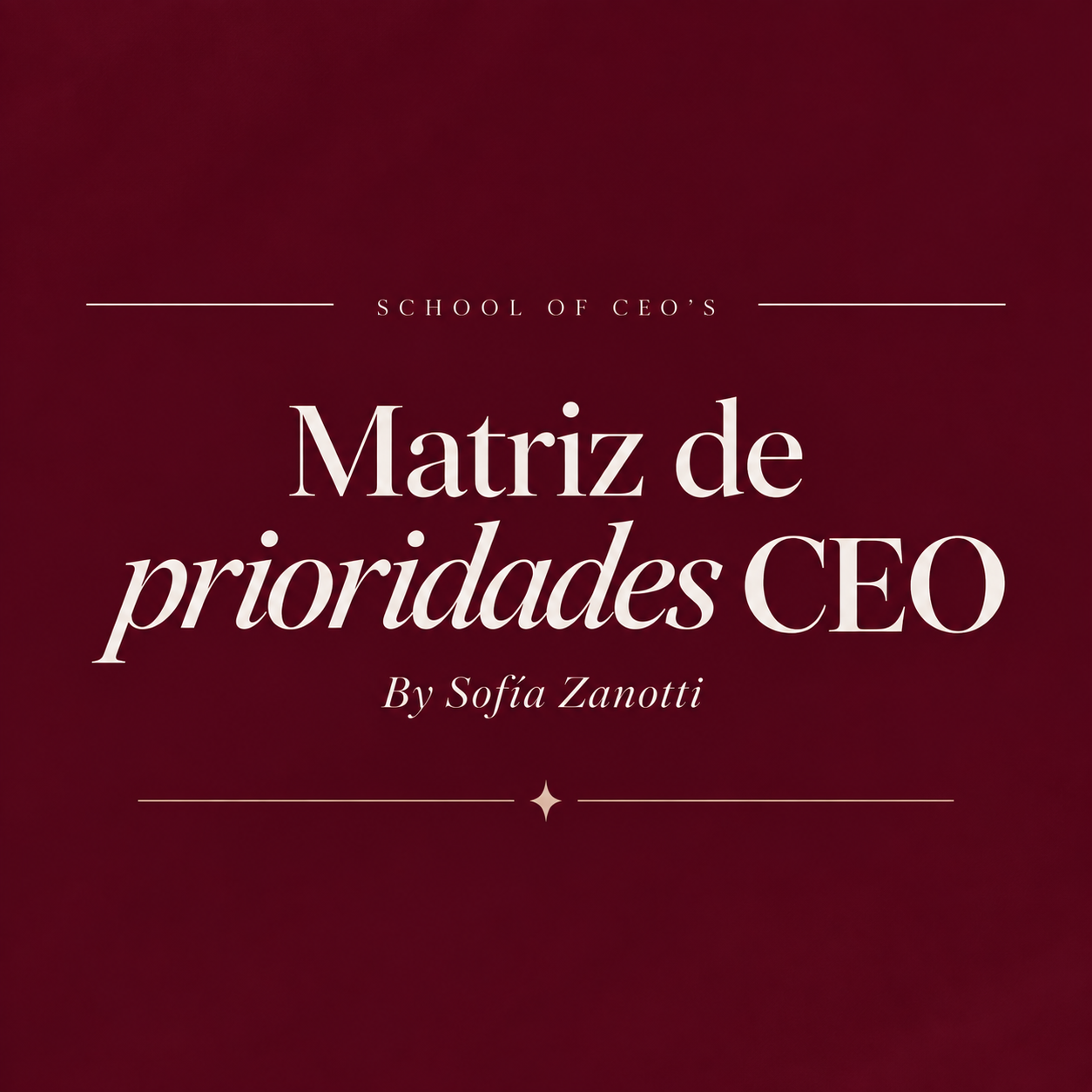 Matriz de prioridades CEO