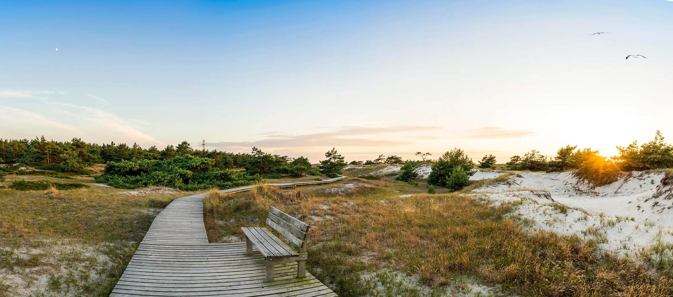 Darß_Pruchten_Wandern_Ostsee.jpg