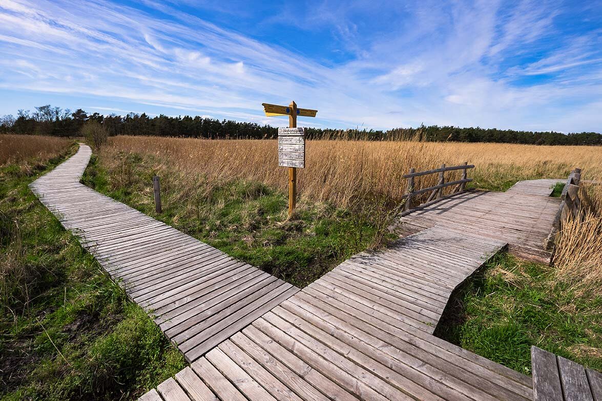 Darß_Pruchten_Wandern_Natur.jpg
