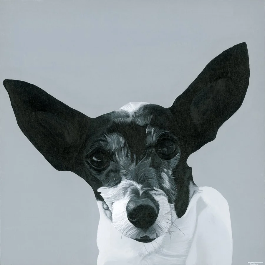 Creamer-Dog.001-web.jpg