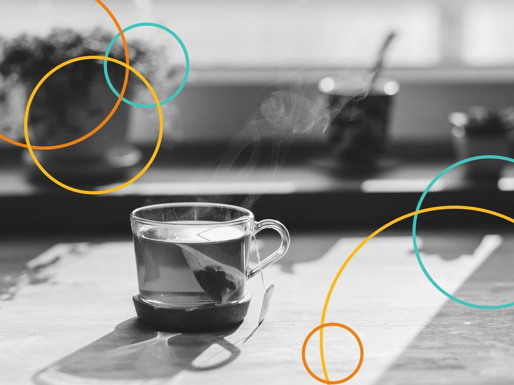  
 Vibes Tea 
 Product Packaging 
 