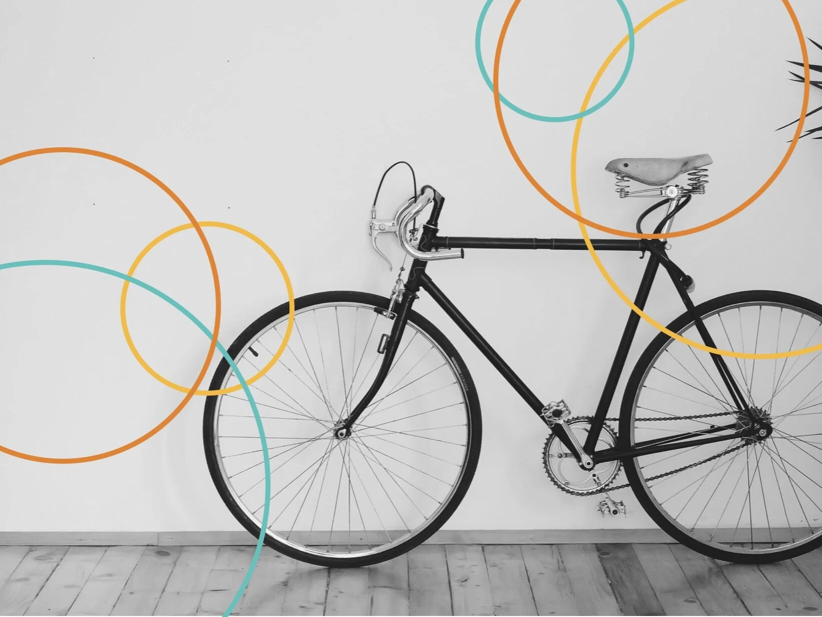  
 Resferber Bikes 
 Packaging 
 