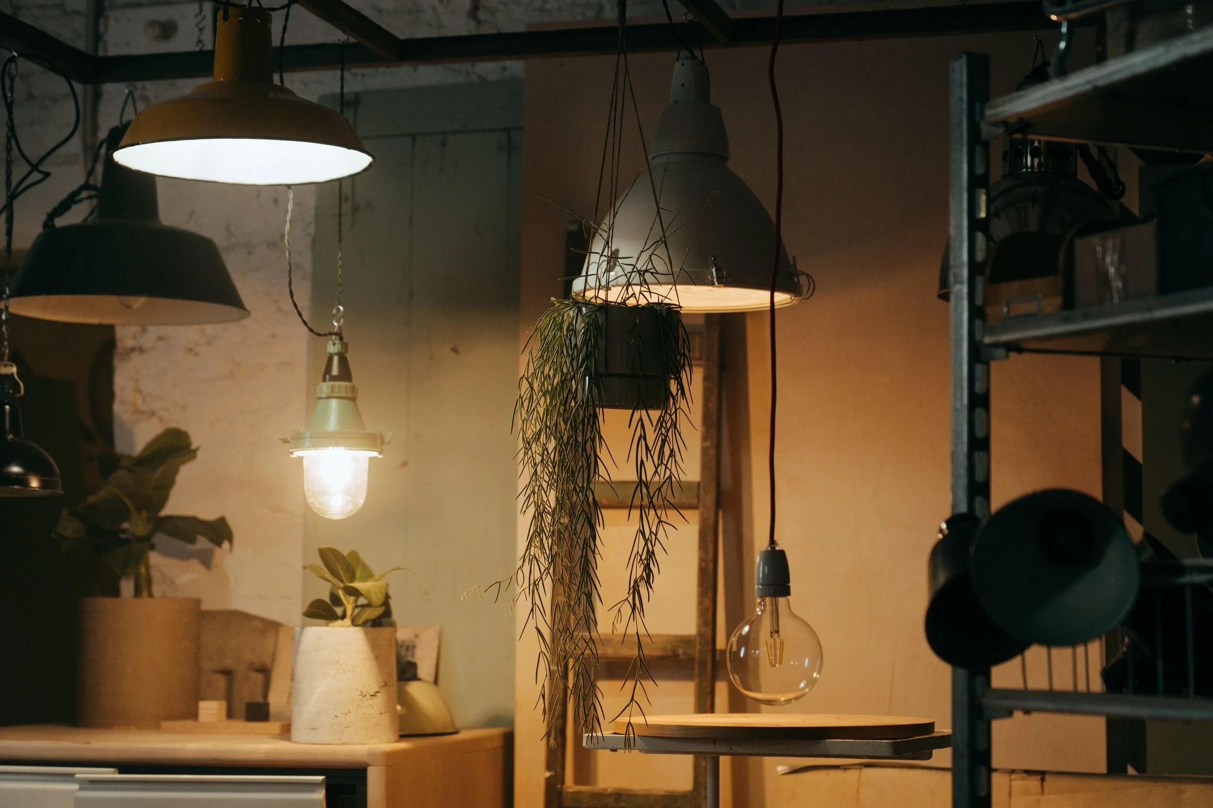 Types & Functions of Lighting