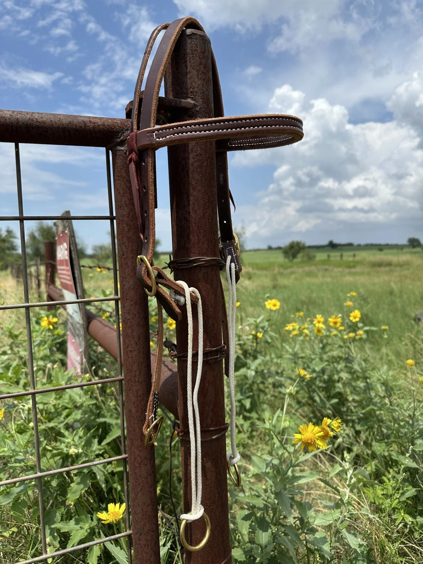 SLIDING GAG HEADSTALL.jpg