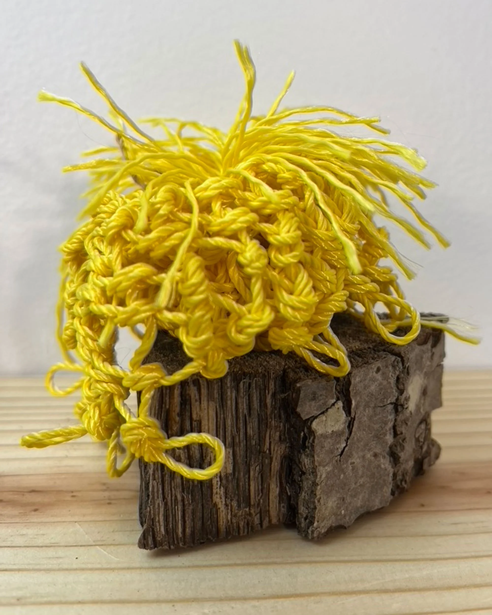nylon cord, driftwood 