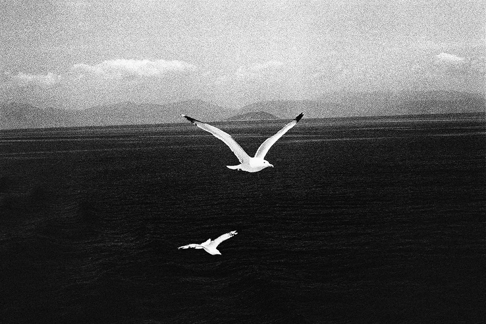 STEPHANE CHARPENTIER