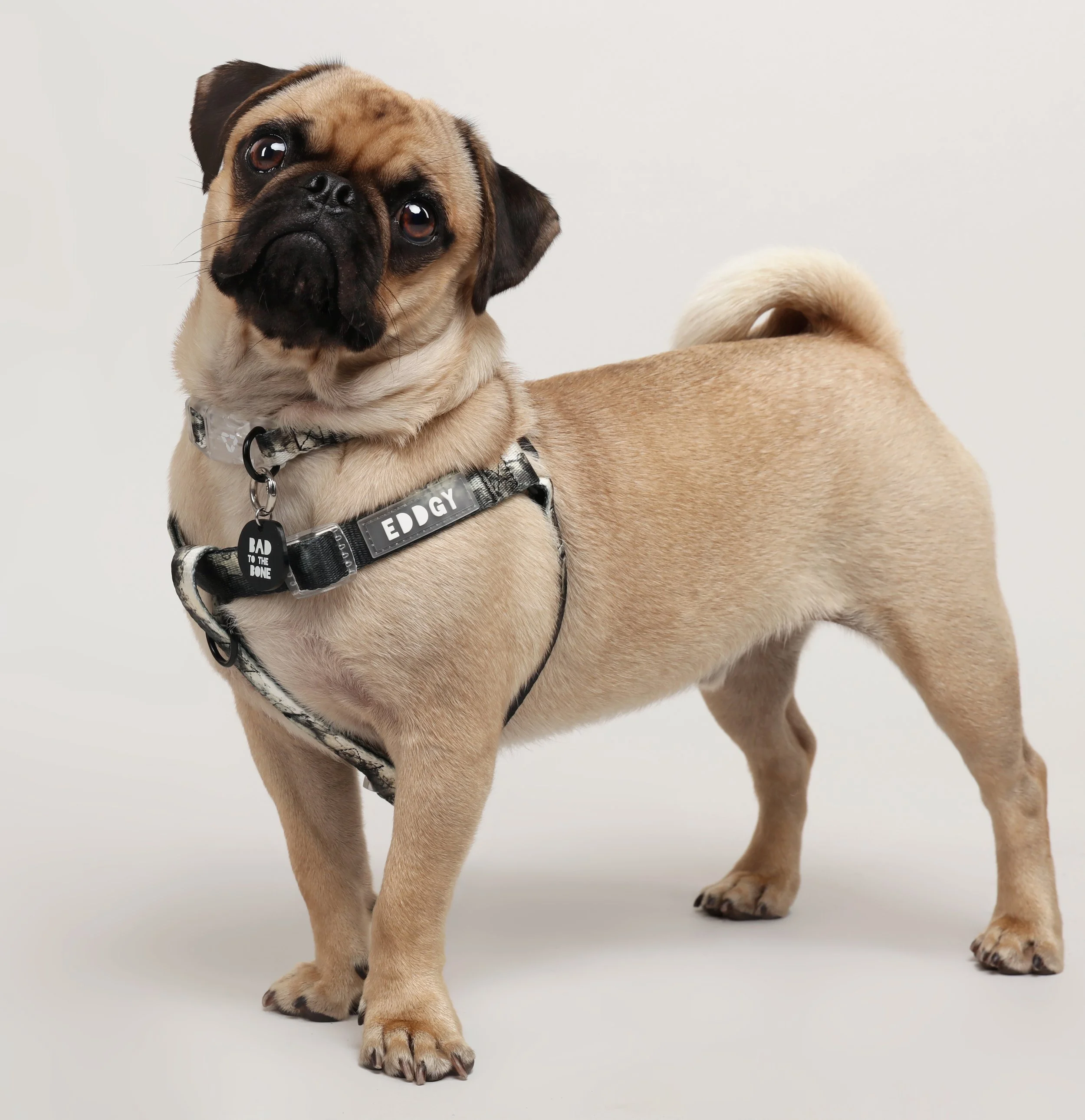 HARNESSES
that are softer than a bralette