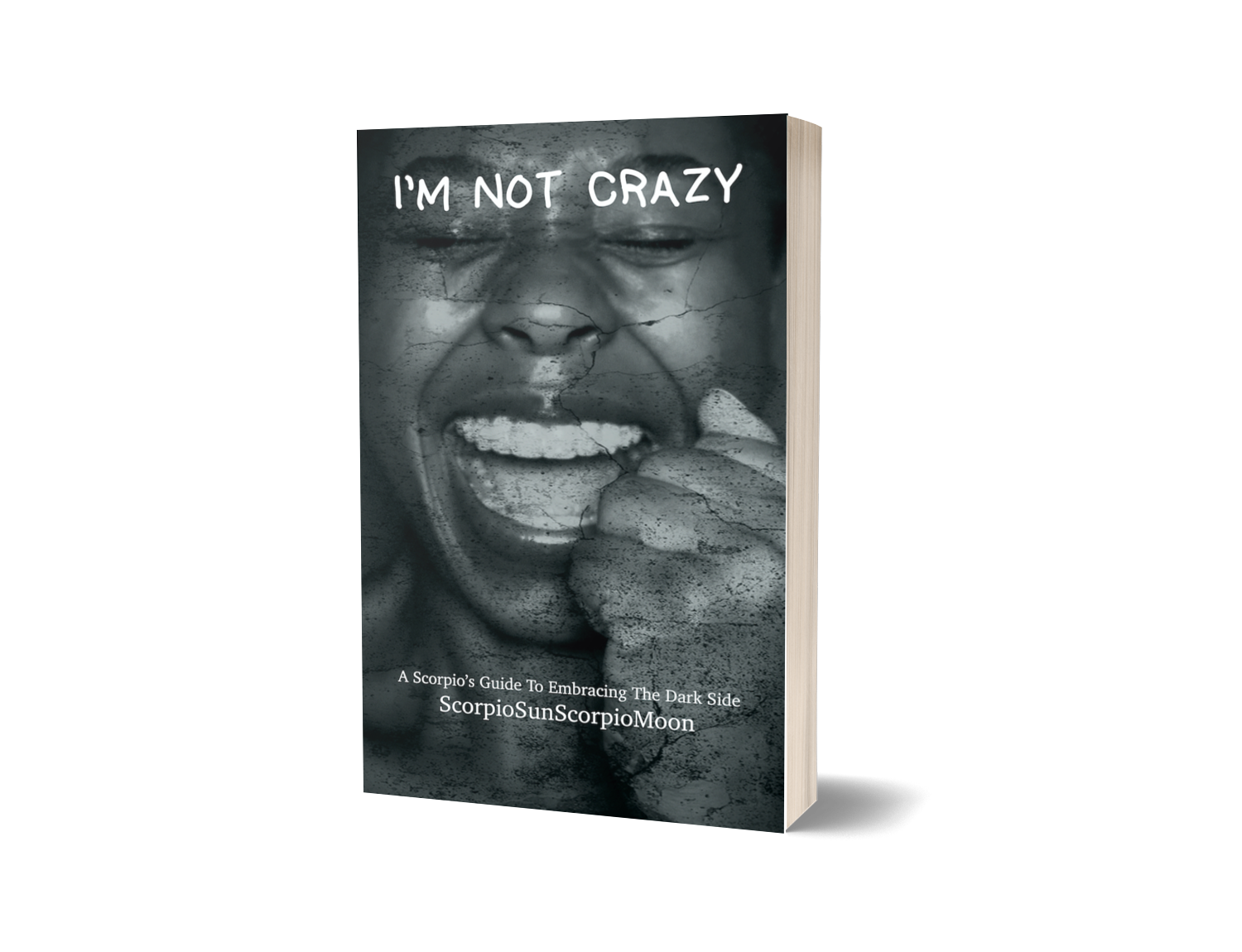 I'm Not Crazy - Audiobook