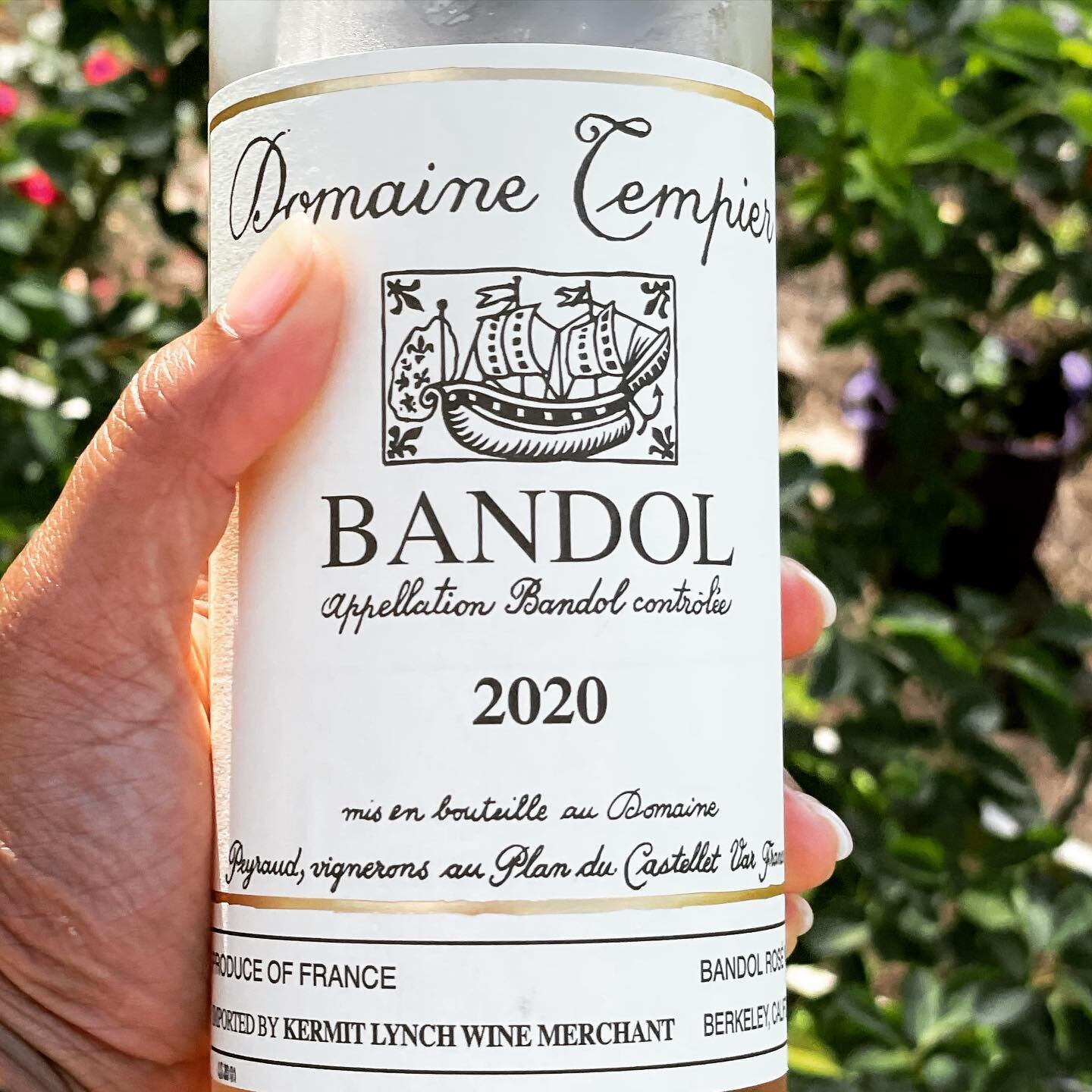 TIS THE SEASON @domaine_tempier #ros&eacute;
