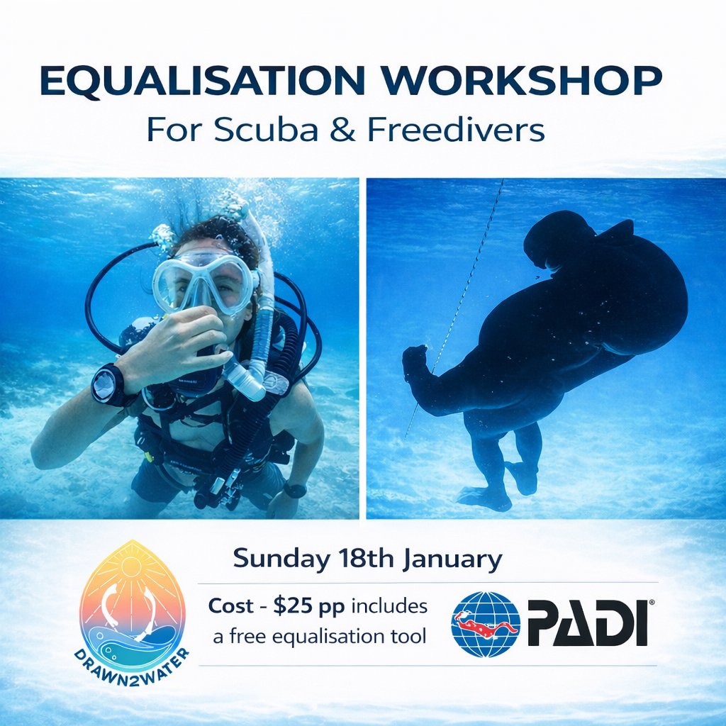 Equalisation Workshop 
